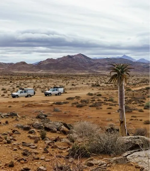 South Africa Gallery Image 1