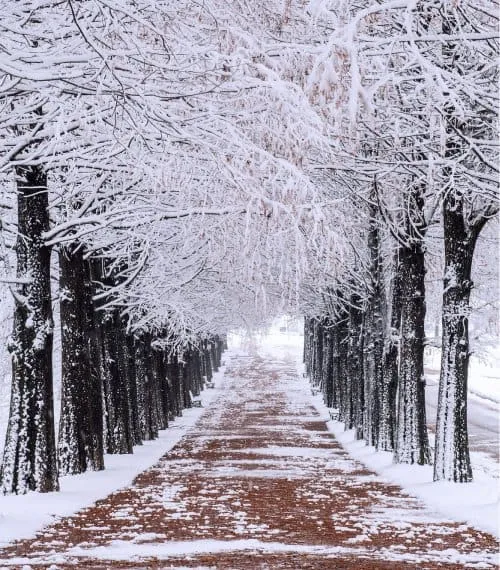 Japan Gallery Image 2