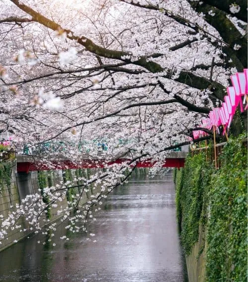 Japan Gallery Image 3