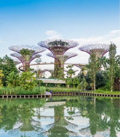 Singapore Gallery Image 3