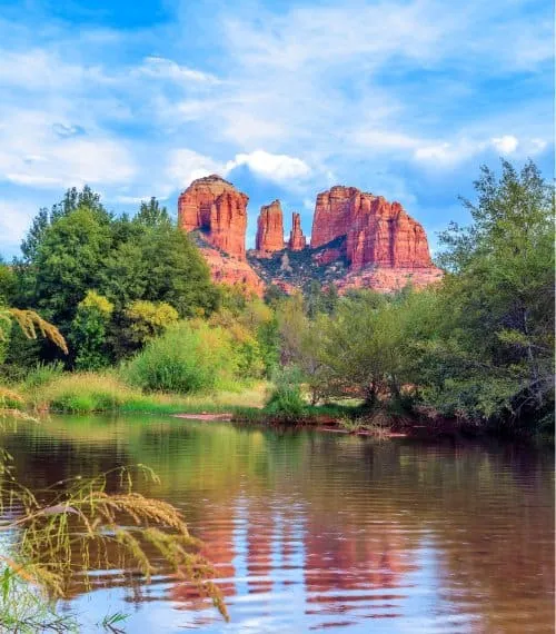 South Africa Gallery Image 4