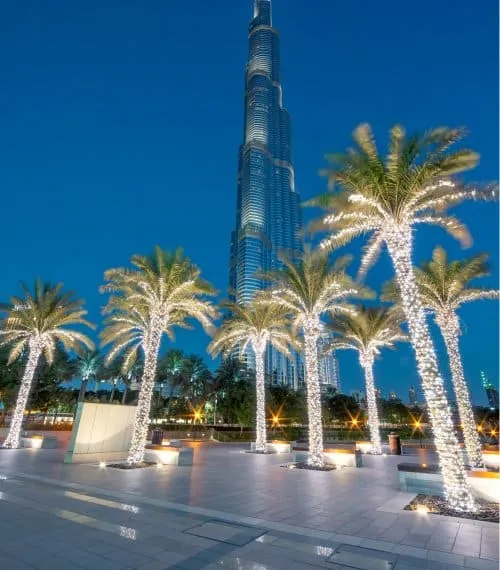United Arab Emirates Gallery Image 5