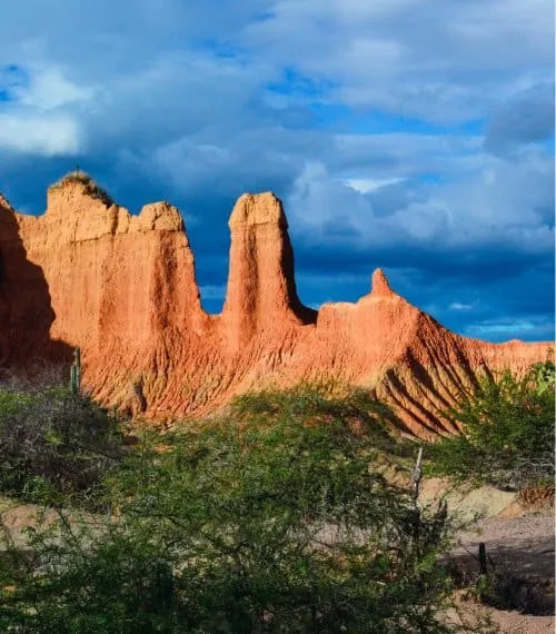 South Africa Gallery Image 5