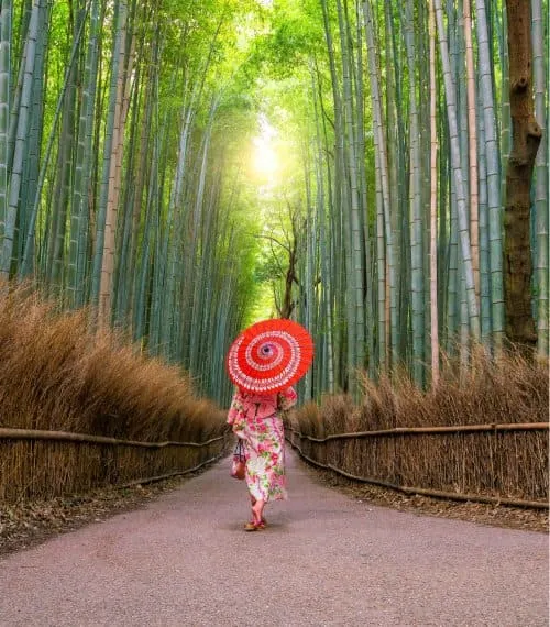 Japan Gallery Image 7