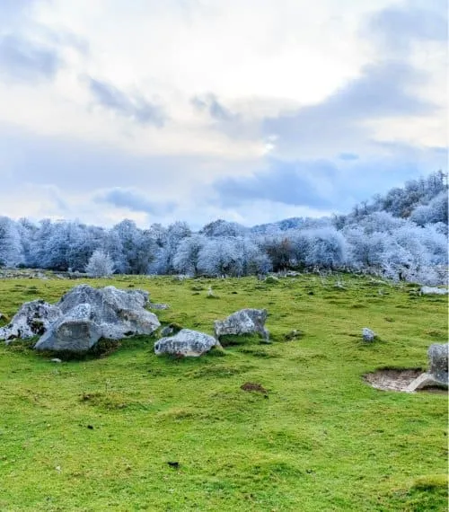 Iceland Gallery Image 7