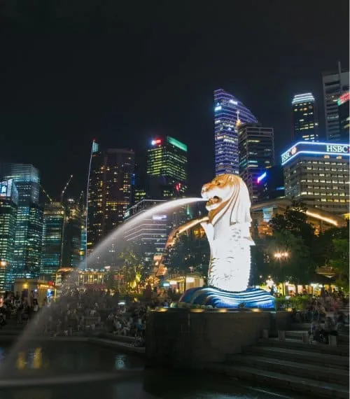 Singapore Gallery Image 8