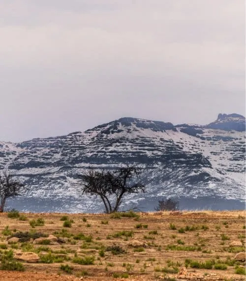 South Africa Gallery Image 8