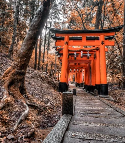 Japan Gallery Image 8