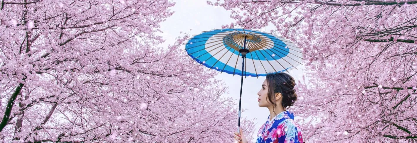 Cherry Blossom Festival Immersion