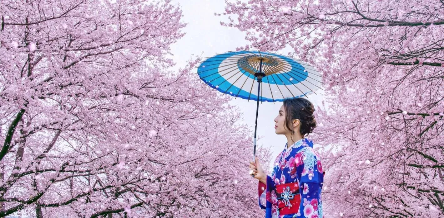 Cherry Blossom Festival Immersion