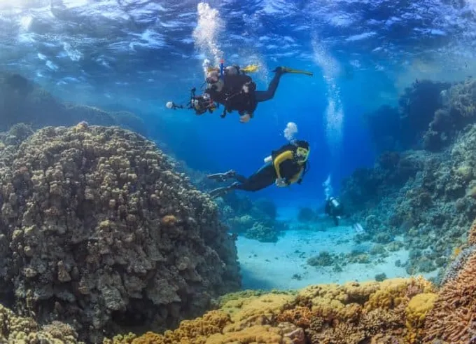 Scuba Diving gallery image