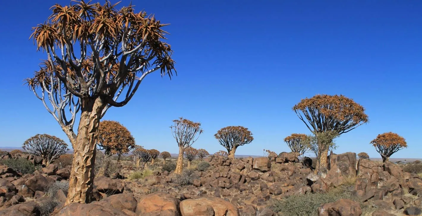 South Africa Main Image